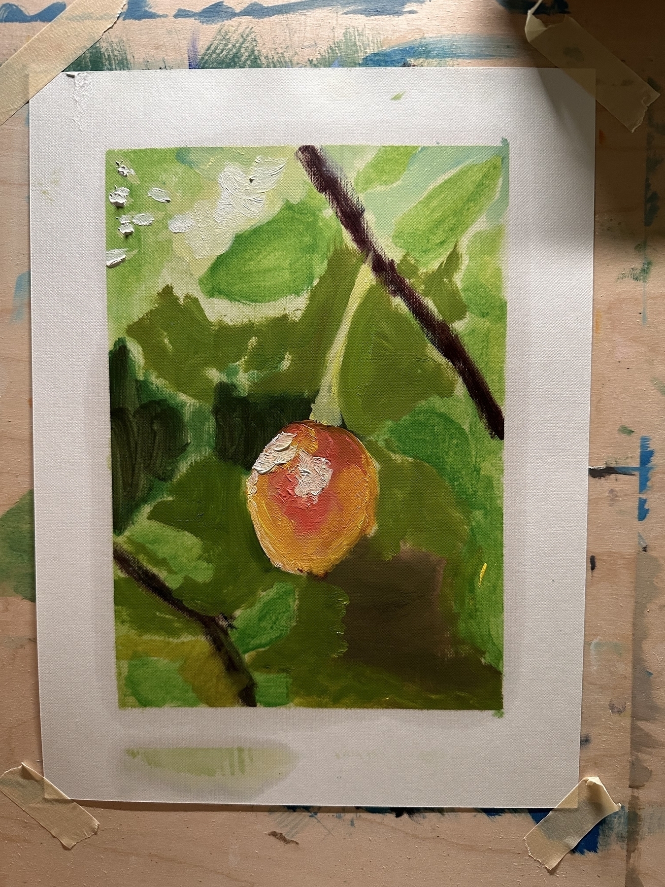 oil painting of young cherry that has started to blush red
